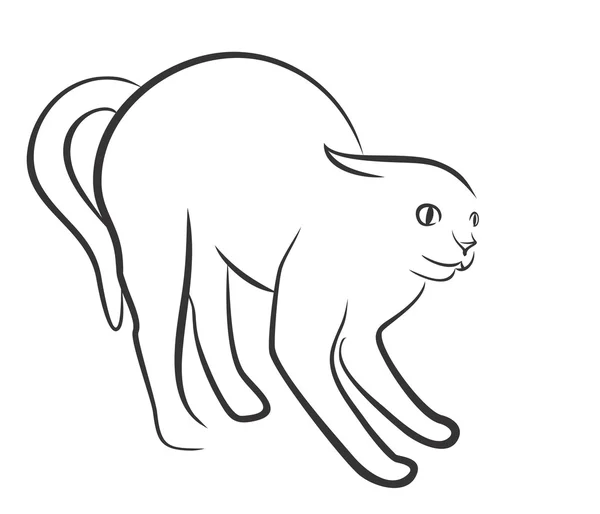 Рисунок домашней кошки . — стоковый вектор