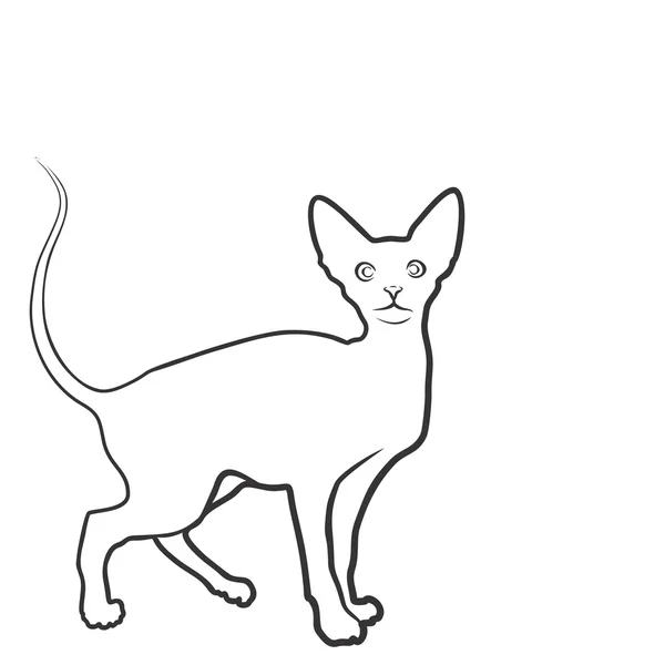 Tekening van binnenlandse kat. — Stockvector