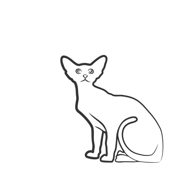 Dibujo de gato doméstico . — Archivo Imágenes Vectoriales