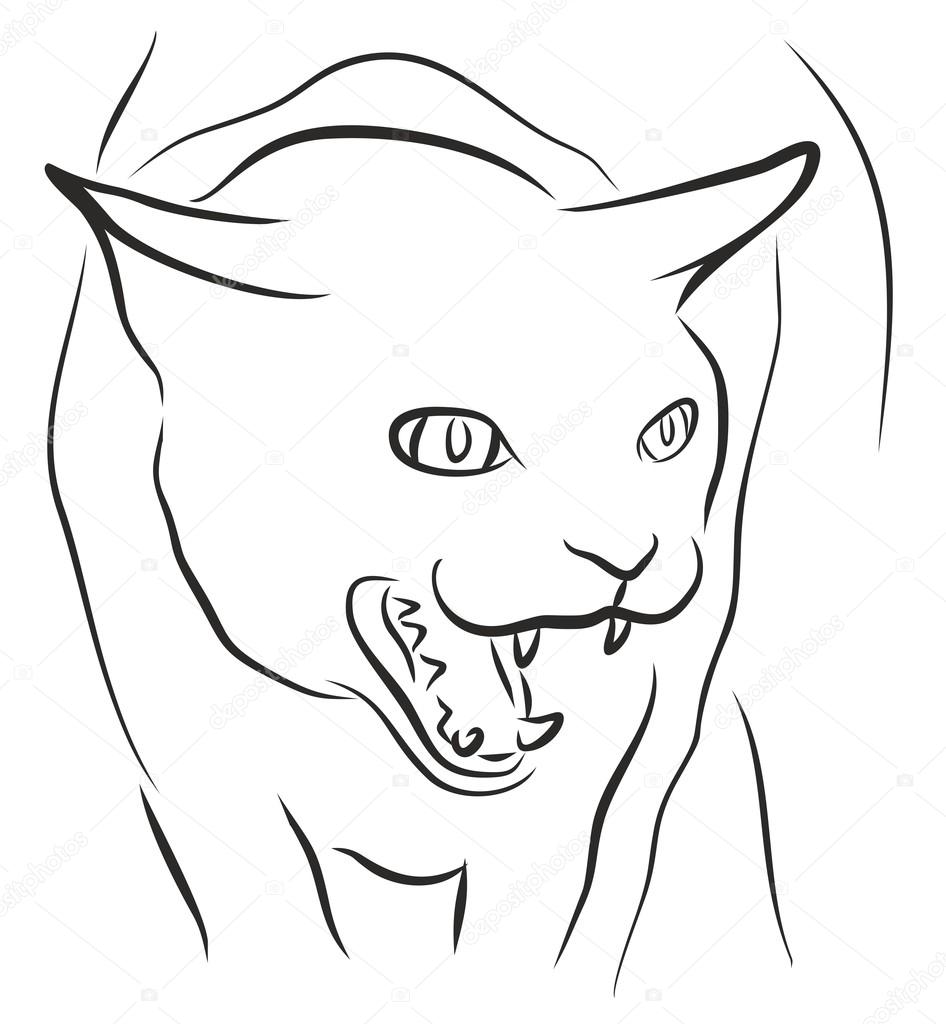 How to draw Angry Cat Face 