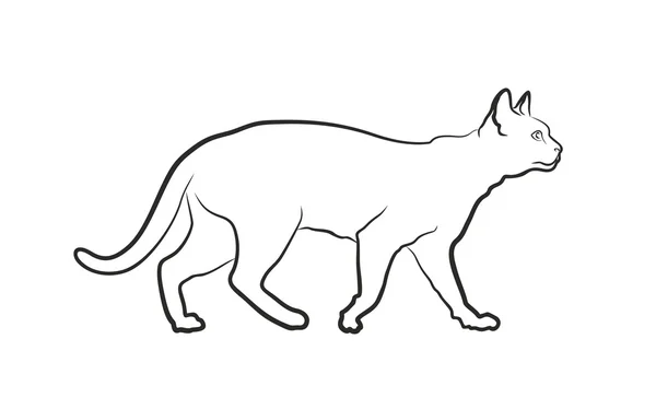 Эскиз домашней кошки . — стоковый вектор