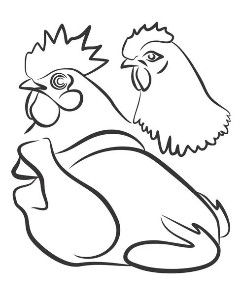 Poulet et coq. — Image vectorielle
