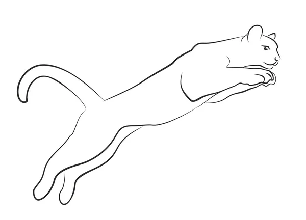 Sketch of cat in jump. — Stock Photo, Image