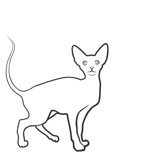 Sketch of domestic cat. — Stock Photo, Image