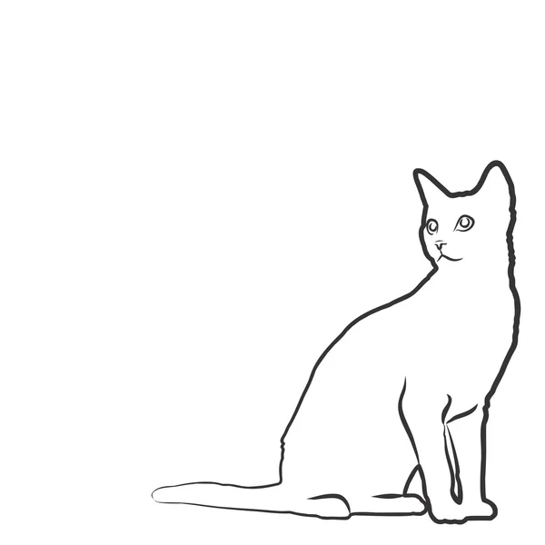 Sketch of domestic cat. — Stock Photo, Image