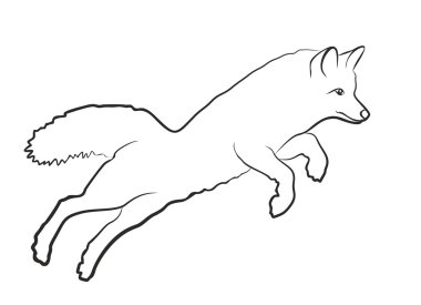 Kutup fox olarak atlama. 