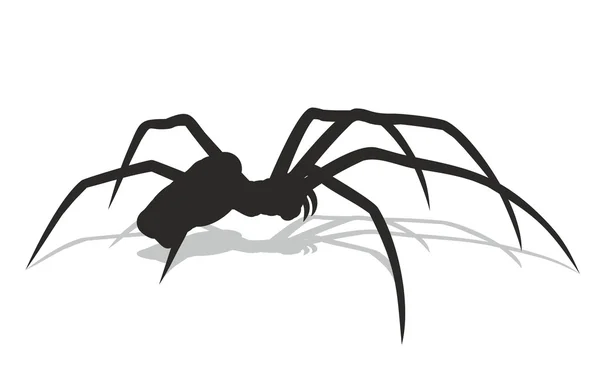 Silhouette of black spider. — Stock Vector