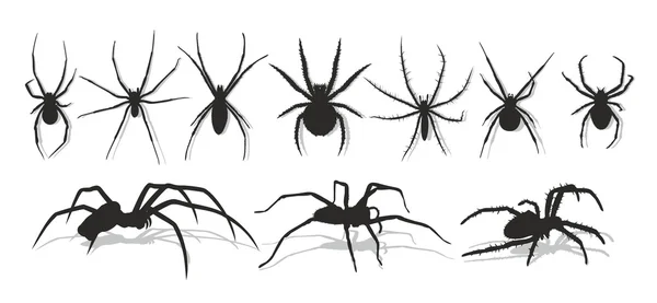Silhuett av svart spindel. — Stock vektor