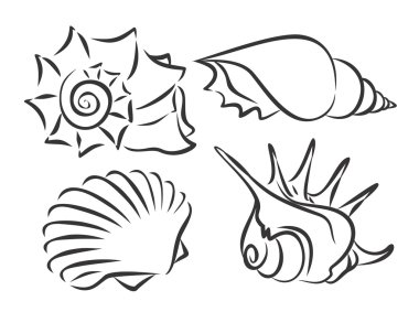 Deniz cockleshells çizimler. 