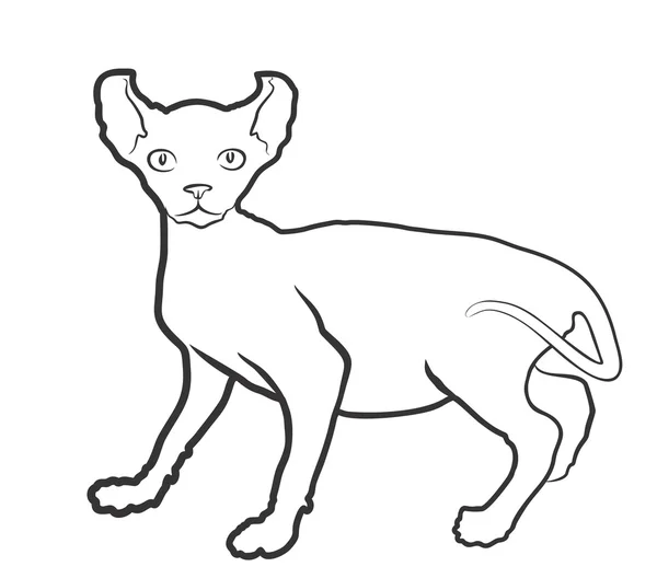 Angry Cat Coloring Pages Outline Sketch Drawing Vector, Cat