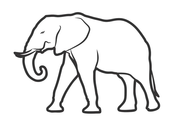 Croquis de l'éléphant . — Image vectorielle