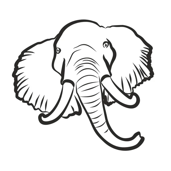 Croquis de l'éléphant . — Image vectorielle