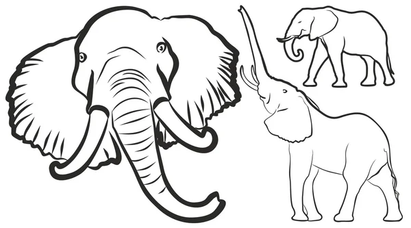 Croquis de l'éléphant . — Image vectorielle