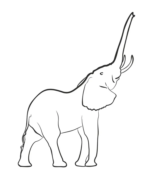 Σκίτσο του ελέφαντα. — Φωτογραφία Αρχείου