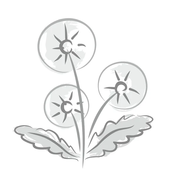 Blume des Feldlöwenzahns. — Stockvektor