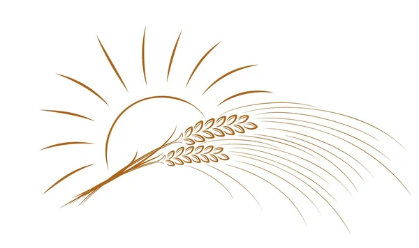 Buğday Logo ile güneş. — Stok Vektör