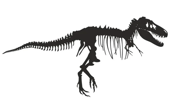 Scheletro di dinosauro — Vettoriale Stock