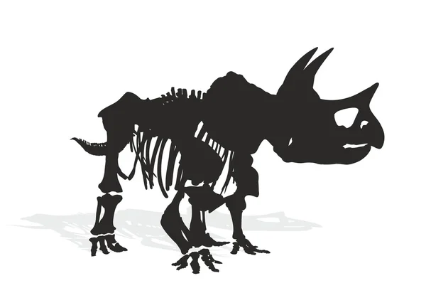 Skelet van dinosaur. — Stockvector