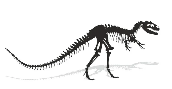 Scheletro di dinosauro . — Foto Stock