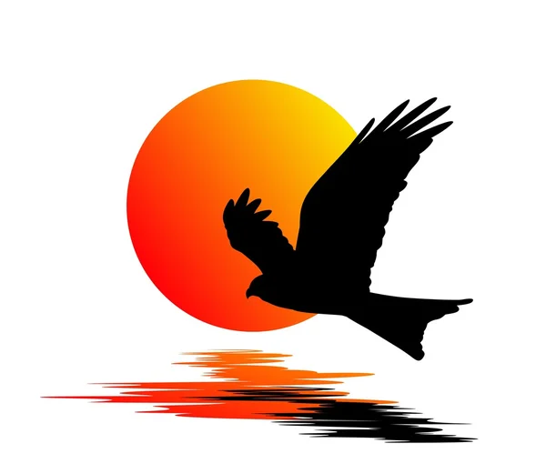 太陽と鳥のロゴ. — ストック写真