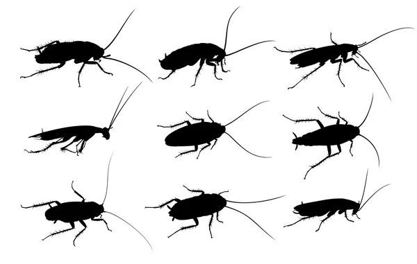 Silhouettes of cockroaches. — Stock Vector