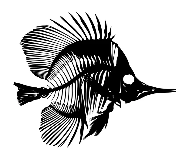 Esqueleto de pescado . — Vector de stock