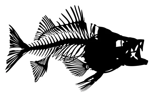 Esqueleto de pescado . — Vector de stock