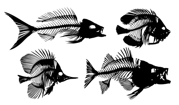 Esqueletos de peces . — Vector de stock