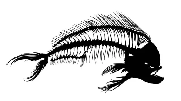 Skeleton Big Predatory Sea Fish — Stock Vector