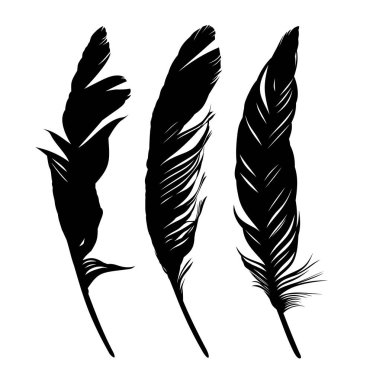 Çeşitli kuşların tüylerini dök.