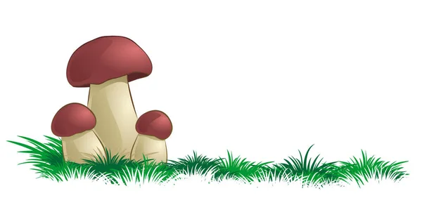 Champignons Forestiers Herbe Verte — Image vectorielle