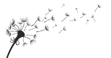 Karahindiba taslağını.