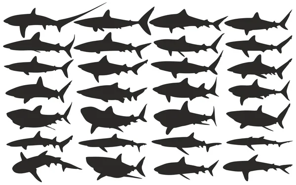 Siluetas del tiburón . — Archivo Imágenes Vectoriales
