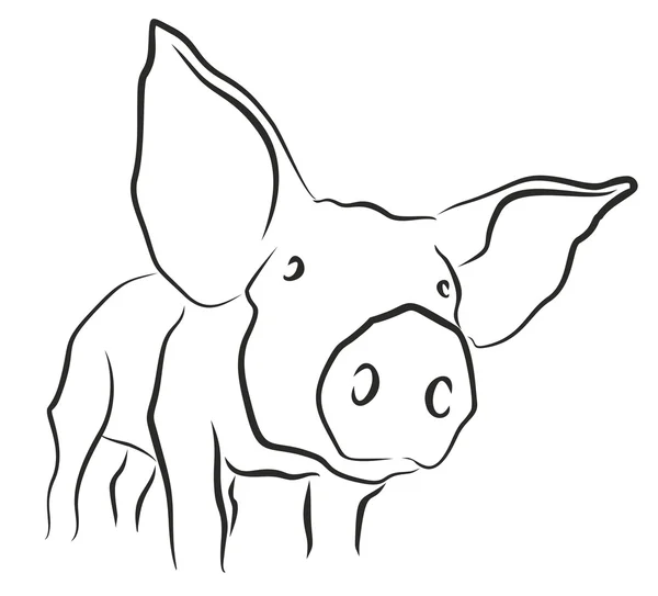 一只小猪草绘. — 图库矢量图片