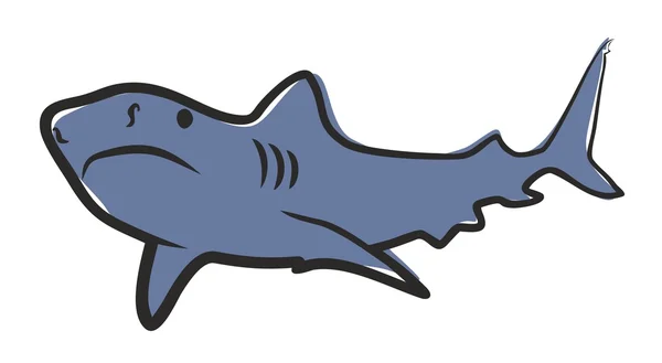 Big blue Shark. — Stock Vector