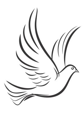 Bir güvercin uçuş.