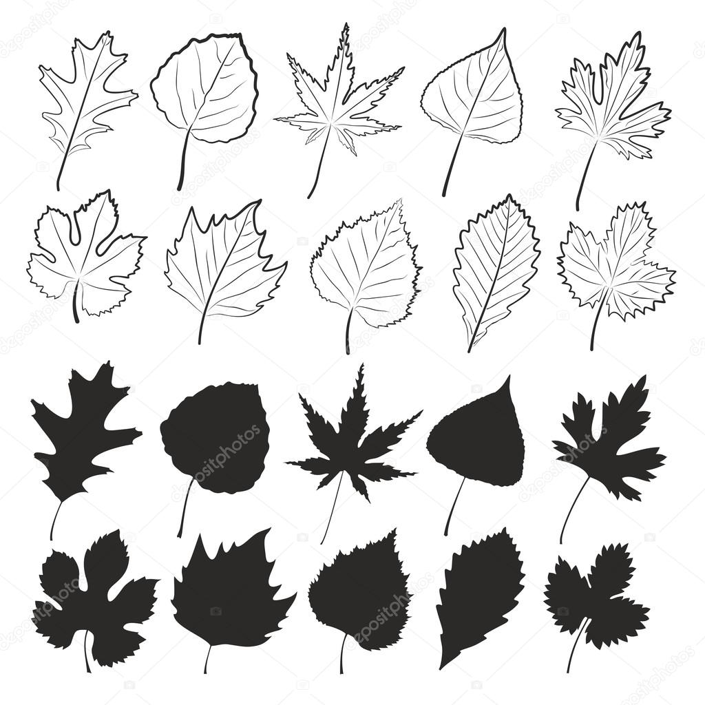 Leaves of trees. Stock Vector by ©Designer_an 94334098