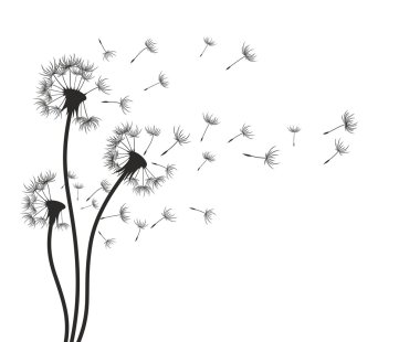 Alan dandelions taslağını.