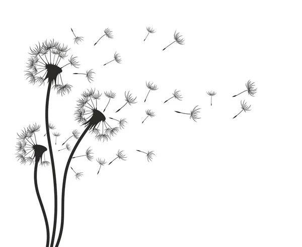 Alan dandelions taslağını.