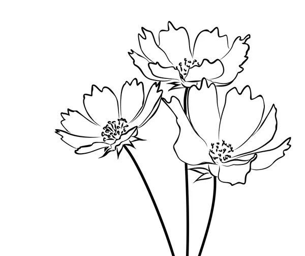 Bosquejo de flores silvestres . — Vector de stock