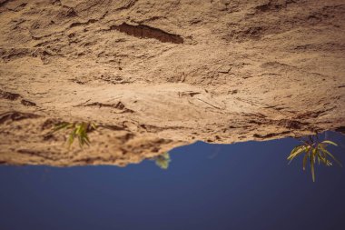 Kum tepeleri mavi gökyüzüne karşı. Parlak kum dokusu. Kaba ve narin dokusu damağına gider..