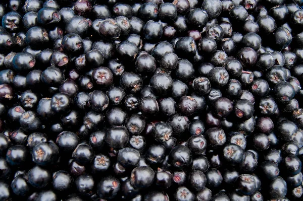Background of fresh blueberries, berry texture. A lot of blueberries are scattered on the table.