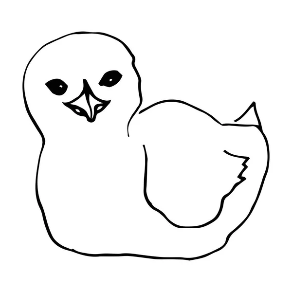 Kis csirke fekete-fehér Vector Line művészet. Húsvét szimbólum. Ülő madár. Találmányhoz, képeslaphoz, színezéshez — Stock Vector