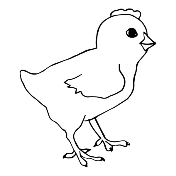 Little chiken black and white Vector Line art. Easter symbol. Standing bird. For invitention, postcard, coloring — Stock Vector