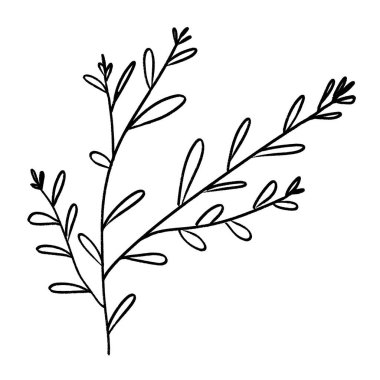 Yaprak Vektörü Çizgisi Sanatı Şubesi