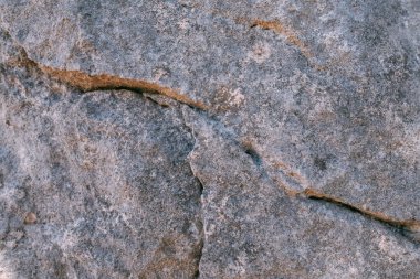 Güneşli bir günde kayanın bir parçası olan büyük bir taşın dokusu. Yakın plan. Makro