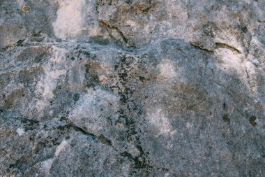 Güneşli bir günde kayanın bir parçası olan büyük bir taşın dokusu. Yakın plan. Makro