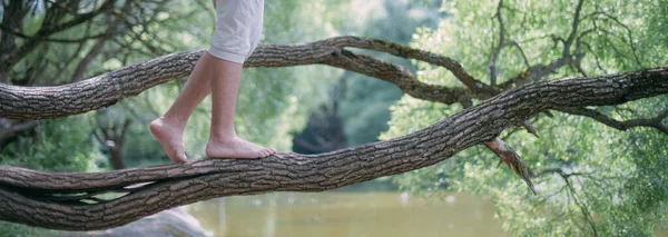 Człowiek Chodzi Boso Dużej Gałęzi Drzewa Zbliżenie Nóg Mężczyzna Nogi — Zdjęcie stockowe