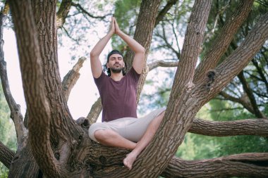 Genç adam parkta bir ağaç üzerinde meditasyon yapıyor. Yaz kıyafetleri ve çıplak ayaklı yakışıklı adam yeşil bir parkta dinleniyor. Büyük bir söğüt ağacının üzerinde, yaz gününün tadını çıkarıyor.