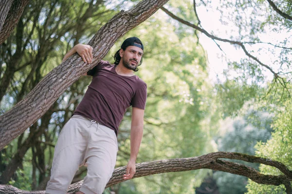 Een Jongeman Zit Een Boom Het Park Knappe Kerel Zomerkleren — Stockfoto